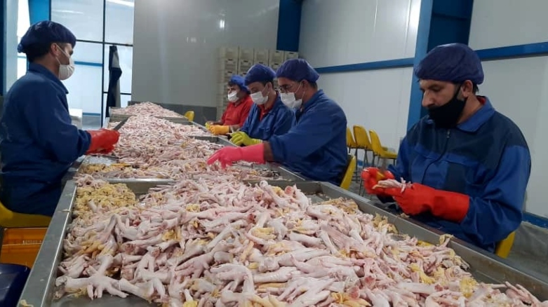 ایران طی یک سال به ارزش ٣٠٠ میلیون دلار پای مرغ صادر کرده است